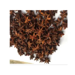 Autumn Star Aniseed