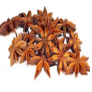 Premium Star Aniseed