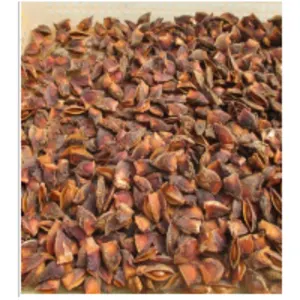 Broken Star Aniseed