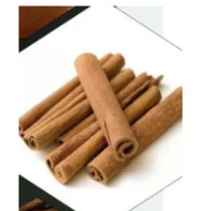 Cigarette Cassia
