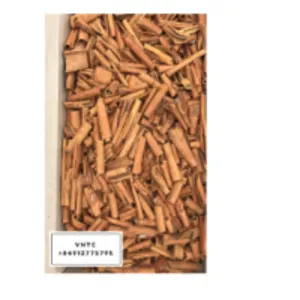 Broken Cigarette Cassia