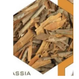 Broken Cassia