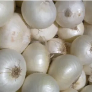 Big White Onion