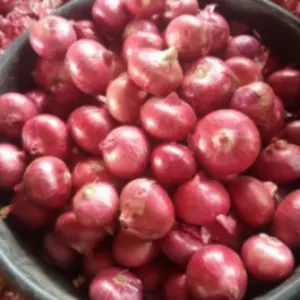 Nashik Red Onion
