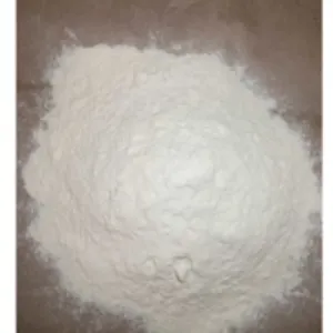 Dehydrated White Onion Powder