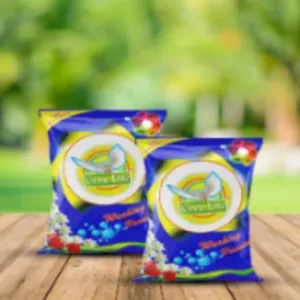 Give Lite Washing Powder
