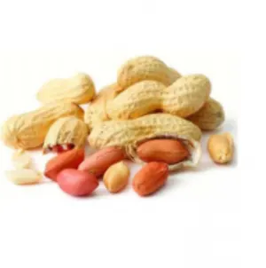 Moongphali, Peanut (Groundnut)
