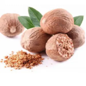 Jaayaphal, (Nutmeg) (Myristica Fragrans)
