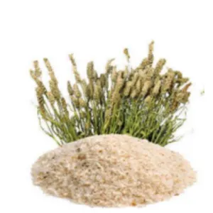 Isabgol Beej ( Psyllium Husk )