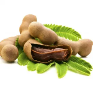Imli, (Tamarind) (Tamarindus Indica)