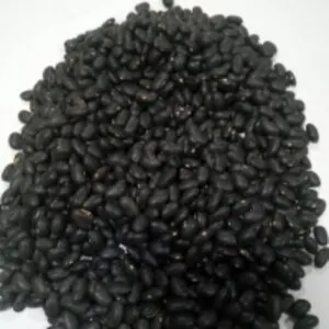Black Beans