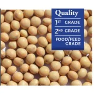 Soybeans