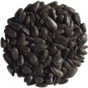 Black Sunflower Seed