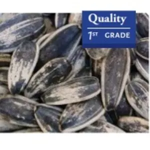 Sunflower Seeds