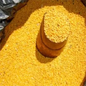 Yellow Mustard Seeds