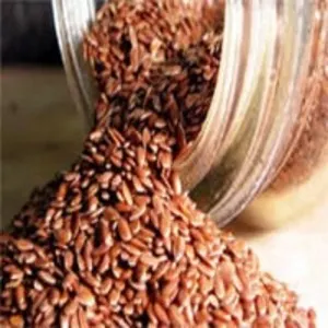 Flax Seed