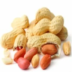 Peanuts