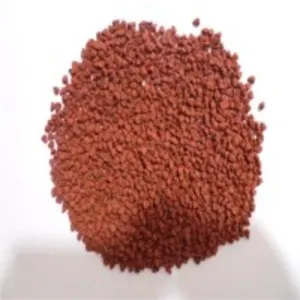 Annatto Seed