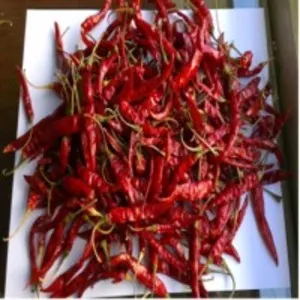 Red Dry Chilies