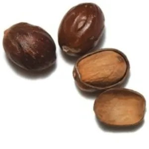 Nutmeg