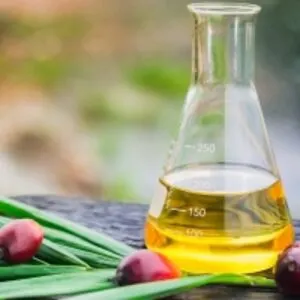 Refined Palm Oil