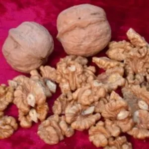 Grade A Walnut Kernels