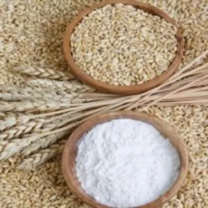 Quality Wheat Flour