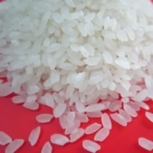 Quality Round Grain White Rice