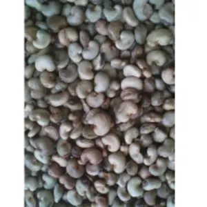 Raw Cashew Nuts In Shell