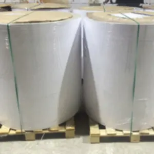 Pe Coated Paper