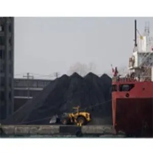 Petroleum Coke
