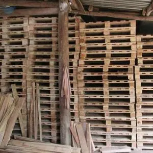 Wood Pallets - Falcata Or Mix Hardwood
