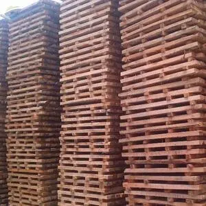 Albasia Falcata Wood