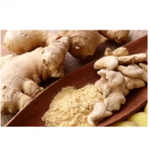 Ginger
