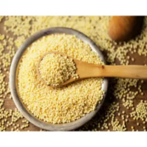 Foxtail Millet