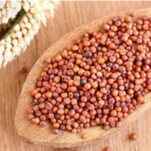 Finger Millets