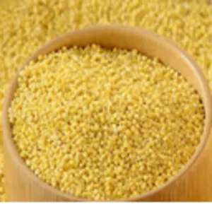 Little Millet