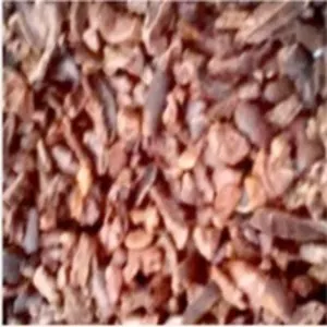 Choco Nibs