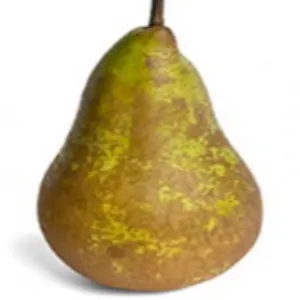 Conference Apple