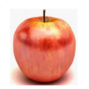 Fuji Apple