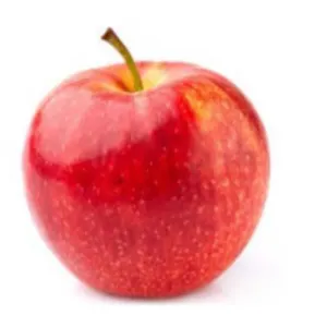 Gala Apple