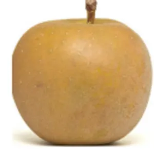 Reineta Apple