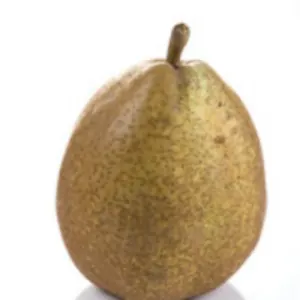 General Leclerc Pear