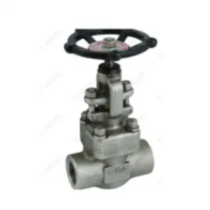 Sqk A182 Fss16 Stainless Steel Gate Valve