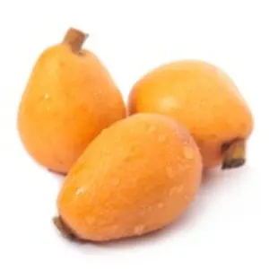 Loquat