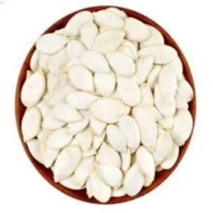 Melon Seeds
