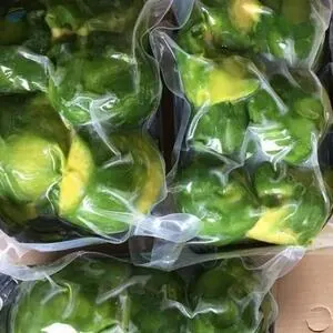 Frozen Avocado