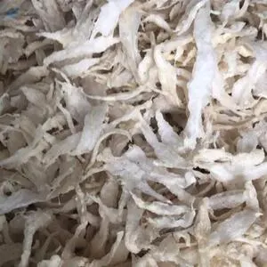 Dried Fish Maw