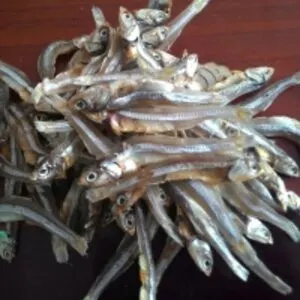 Dried Anchovy Fish