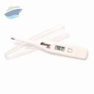 Dual Scale Digital Thermometer